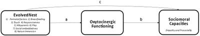 The evolved nest, oxytocin functioning, and prosocial development